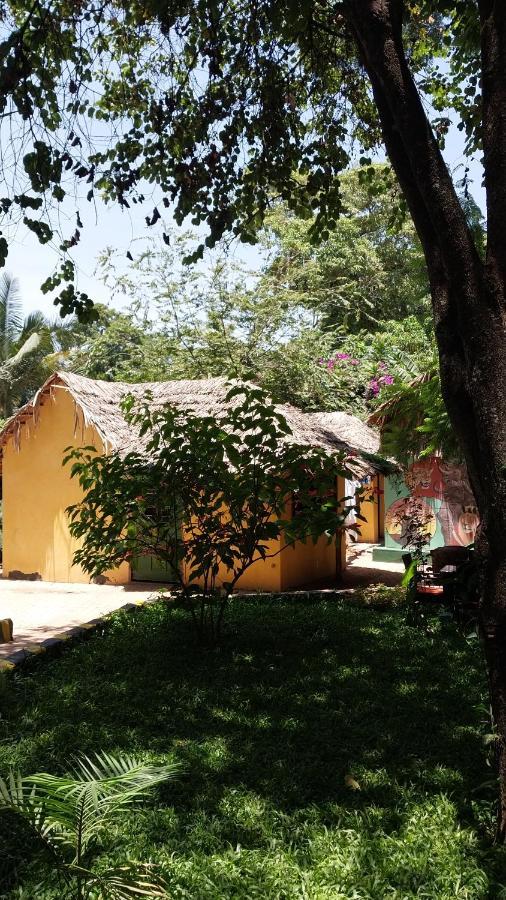 Green Garden Guest House Arusha Esterno foto